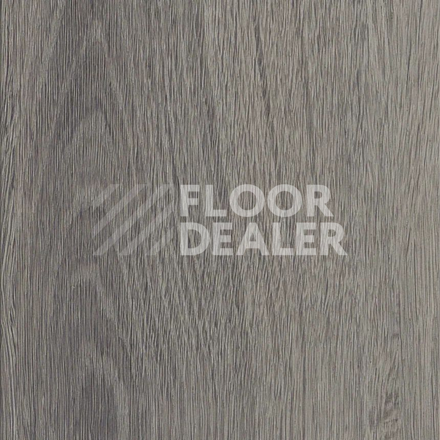 Кварцвиниловые полы Maximus Plank Highland Oak Frosted фото 1 | FLOORDEALER