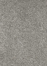 Ковролин AW Promenade 75 фото 1 | FLOORDEALER