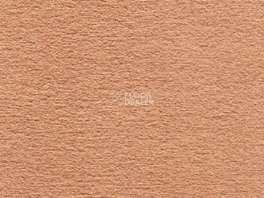 Ковролин Audrey 046  Audrey фото 1 | FLOORDEALER