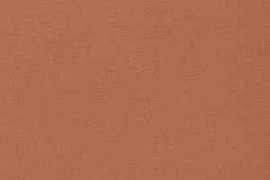 Ковролин Vorwerk Passion 1021 Vorwerk 1m39 фото  | FLOORDEALER