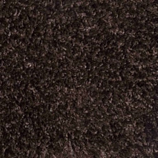 Carnival Associated 44 фото 1 | FLOORDEALER