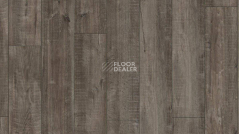 Kronotex Exquisit Plus d4785 Дуб Гала Титан фото 7 | FLOORDEALER