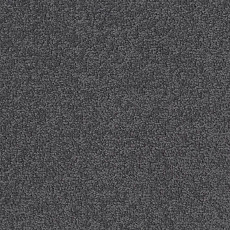 Desso Palatino 6502 фото 1 | FLOORDEALER