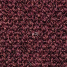 Carpet Concept Eco Cut 10093 фото 1 | FLOORDEALER