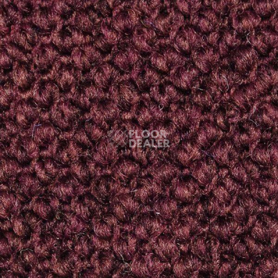Ковролин Carpet Concept Eco Cut 10093 фото 1 | FLOORDEALER