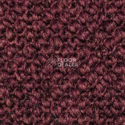 Ковролин Carpet Concept Eco Cut 10093 фото 1 | FLOORDEALER