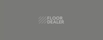 Плинтус эластичный Dollken Wl 100 146 фото 2 | FLOORDEALER