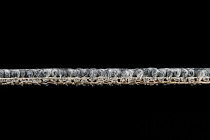 AW Medusa 90 фото 4 | FLOORDEALER