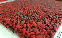 Ковровая плитка Desso Fuse Desso Fuse фото 1 | FLOORDEALER