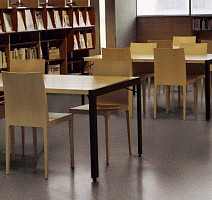 Taralay Premium Poesy