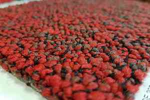 Ковровая плитка Desso Fuse Desso Fuse фото  | FLOORDEALER