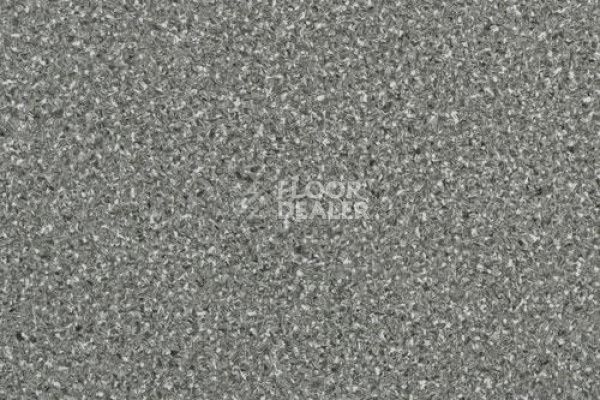 Линолеум LG Durable DU90006 фото 1 | FLOORDEALER