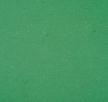 Линолеум Colorette 0006 Vivid Green фото 1 | FLOORDEALER