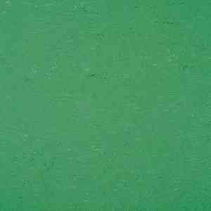 Линолеум Colorette 0006 Vivid Green фото ##numphoto## | FLOORDEALER