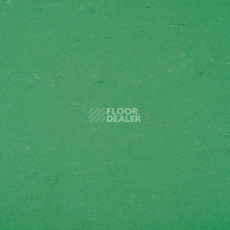 Линолеум Colorette 0006 Vivid Green фото 1 | FLOORDEALER