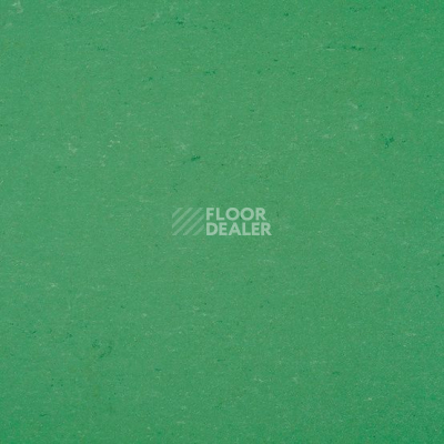 Линолеум Colorette 0006 Vivid Green фото 1 | FLOORDEALER