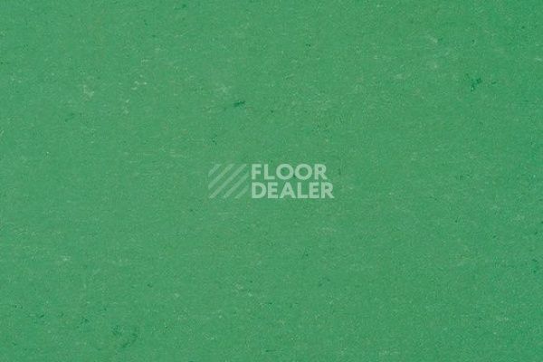 Линолеум Colorette 0006 Vivid Green фото 1 | FLOORDEALER