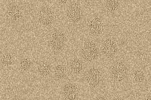 Ковролин Balsan Calanques 621 фото  | FLOORDEALER