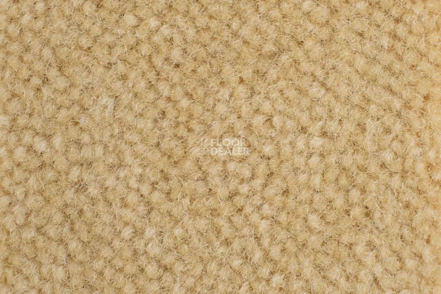 Balsan Majestic 628 фото 2 | FLOORDEALER