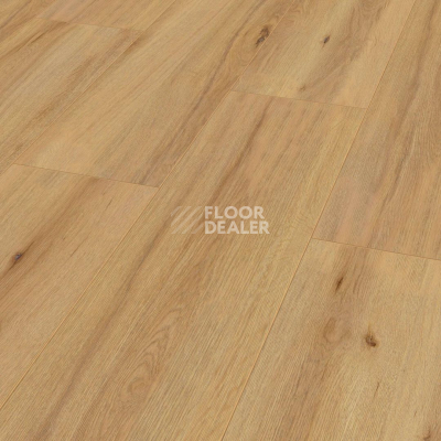 Ламинат Kronotex Exquisit Plus d80052 Дуб Аризона фото 1 | FLOORDEALER
