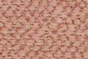 Ковролин Balsan Carrousel Carrousel 515 фото  | FLOORDEALER