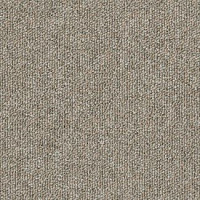 Ковровая плитка Desso Natural Nuances 9120 фото 1 | FLOORDEALER