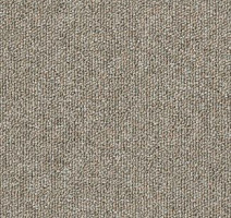 Ковровая плитка Desso Natural Nuances 9120 фото 1 | FLOORDEALER