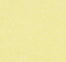 Линолеум Forbo Sphera Element 50067 straw фото 1 | FLOORDEALER