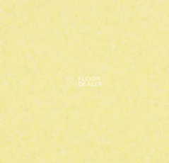 Линолеум Forbo Sphera Element 50067 straw фото 1 | FLOORDEALER