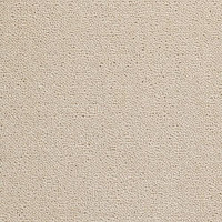 Creatuft Sheba 1004 Cotton 4 + 5m фото 1 | FLOORDEALER