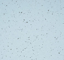 Линолеум Mipolam BioControl Clean 5406 Moqui фото 1 | FLOORDEALER