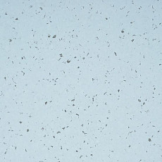 Линолеум Mipolam BioControl Clean 5406 Moqui фото 1 | FLOORDEALER