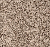 Ковролин Best Wool Pure Brunel d 40010 фото 1 | FLOORDEALER