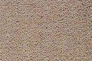 Ковролин Best Wool Pure Brunel d 40010 фото  | FLOORDEALER