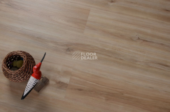 Evofloor Optima Click 4.2мм Груша Капучино фото 3 | FLOORDEALER