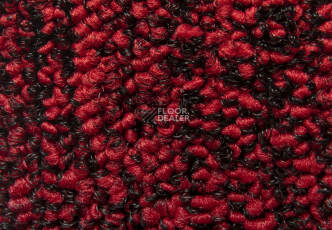 Balsan Progression 550 фото 2 | FLOORDEALER