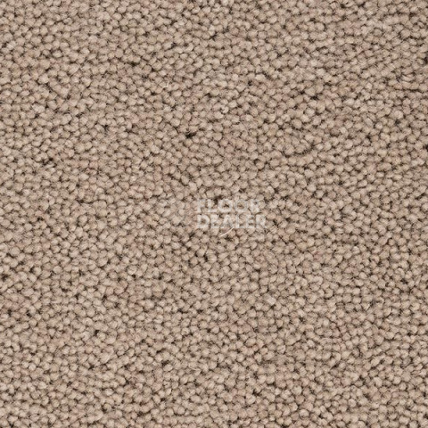 Ковролин Best Wool Pure Brunel d 40010 фото 1 | FLOORDEALER