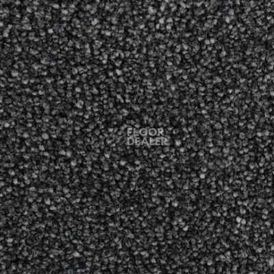 Ковролин Edel Bellezza 289 фото 1 | FLOORDEALER