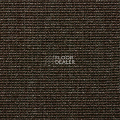 Ковролин Carpet Concept Eco 500 6957 фото 1 | FLOORDEALER