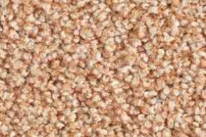 Ковролин Balsan Les Must Les Must 420 фото  | FLOORDEALER