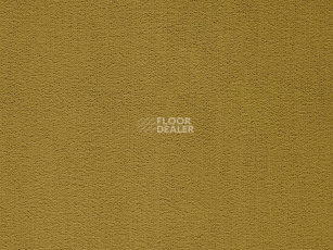 Ковролин Balta ITC Rossini 153 New фото 1 | FLOORDEALER