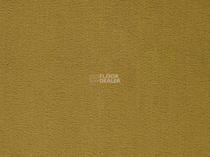 Balta ITC Rossini 153 New фото 1 | FLOORDEALER