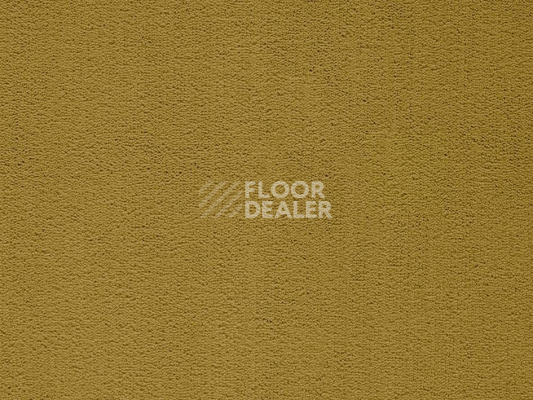 Ковролин Balta ITC Rossini 153 New фото 1 | FLOORDEALER