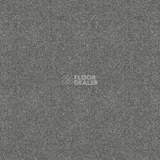 Ковролин Haima Lounge x 4456 фото 1 | FLOORDEALER
