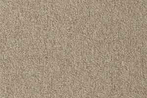 Ковролин Vorwerk Passion 1005 Vorwerk 8j05 фото  | FLOORDEALER