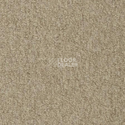 Ковролин Vorwerk Passion 1005 Vorwerk 8j05 фото 1 | FLOORDEALER