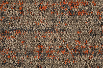 Autumn Woods 601005 Rust фото 2 | FLOORDEALER