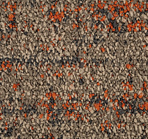 Autumn Woods 601005 Rust фото 2 | FLOORDEALER