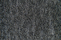 Flotex Colour Penang p 982007 Penang Zinc фото 4 | FLOORDEALER