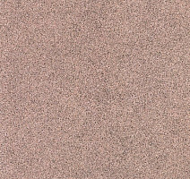 Линолеум Tarkett Sprint Pro Sahara 3 фото 1 | FLOORDEALER